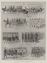 Colonial Troops in the Queen